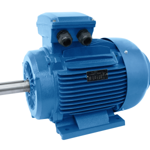 Motor Elétrico Ferro