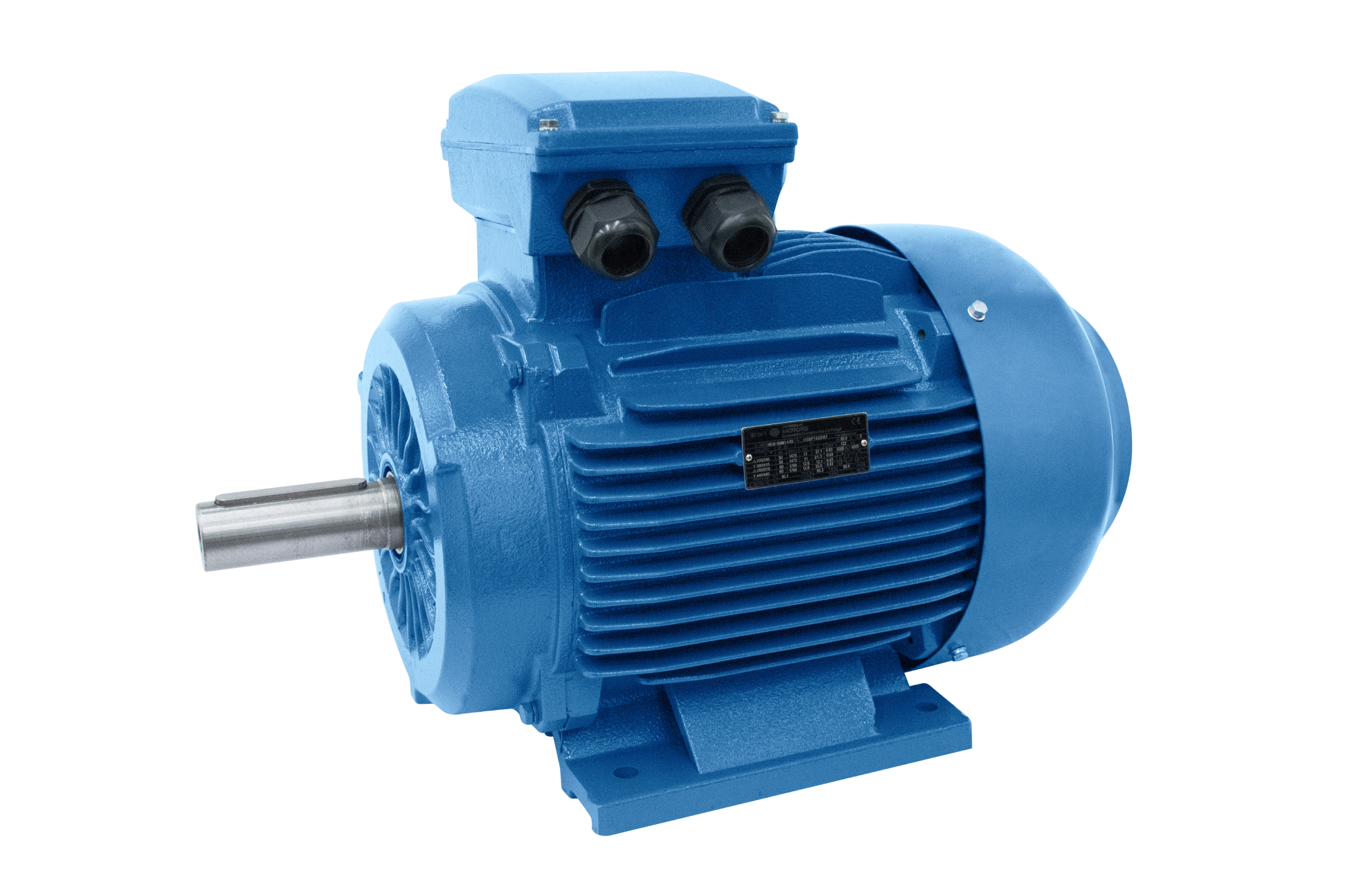 Motor Elétrico Ferro